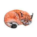 Poduszeczka Lynx dla niemowląt - Baby Steps 1 Poduszeczka Lynx dla niemowląt