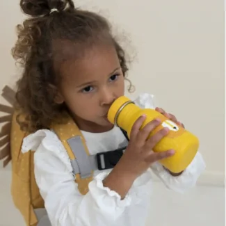 Lew Bidon - Butelka 350 ml