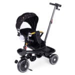 Rowerek pchacz czarny - ECOTOYS 6 6 22