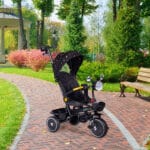 Rowerek pchacz czarny - ECOTOYS 8 8 10