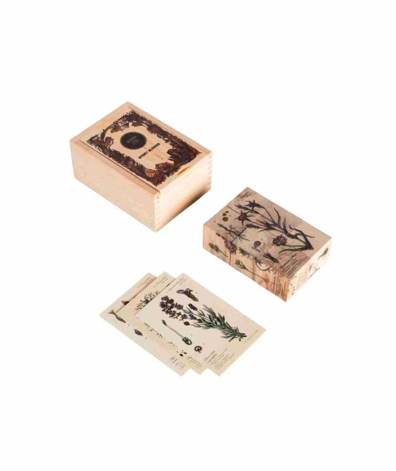 Drewniane klocki życie pszczoły rośliny