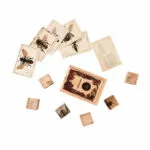 Drewniane klocki życie pszczoły gatunki - Wooden Story 1 Drewniane klocki życie pszczoły gatunki