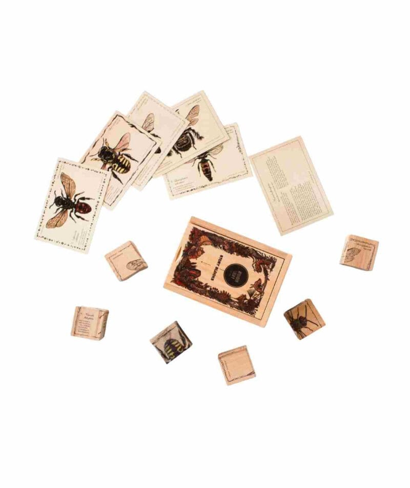Drewniane klocki życie pszczoły gatunki