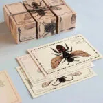 Drewniane klocki życie pszczoły gatunki - Wooden Story 2 export 150