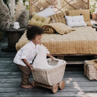 Dzika Kura Babci Dany Ecru