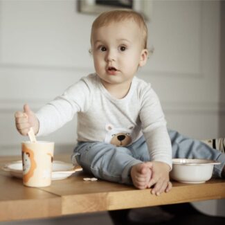 Zestaw naczyń 5 el. Lew