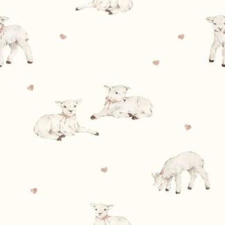 Kolekcja little sheeps